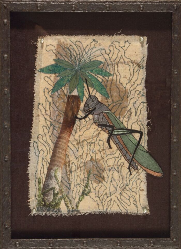Locust